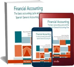 Descarga directa Financial Accounting Mega