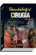 PDF Skandalakis Cirugia Con Bases Anatomicas y Embriologicas del autor John e. Skandalakis