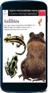 Anfibios Descargar online gratis + resumen