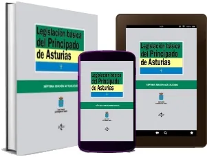 Leer «Legislación Básica Del Principado de Asturias» descarga PDF + eBook