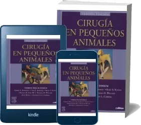 Cirugia en Pequeños Animales de Teresa Welch Fossum año 2023 + eBook