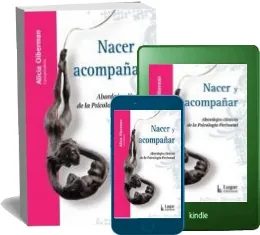 Descargar Nacer y Acompañar gratuita Google Drive