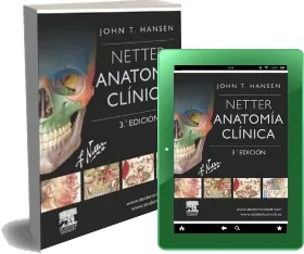 Netter Anatomia Clinica, 3ra. Ed. de John t. Hansen descargar libro gratis + ePub