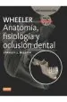 PDF Wheeler Anatomia, Fisiologia y Oclusion Dental, 10 ed. del autor J. Nelson