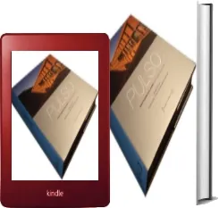 Bajar «Pulso: Nueva Arquitectura en Chile» en PDF o ePub gratis + resumen