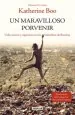 PDF Un Maravilloso porvenir del autor Katherine Boo