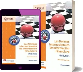 Las Normas Internacionales de Información Financiera Descarga gratis en PDF 2023 + resumen