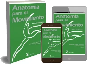 Descargar gratis Anatomia para el Movimiento 2 Libro completo (La Liebre de Marzo) 