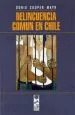 PDF Delincuencia Común en Chile del autor Doris Cooper