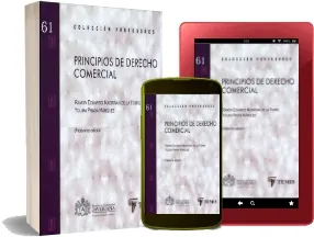 «Principios de Derecho Comercial» PDF Descargar gratis | Madriñan de la Torre 2023 + resumen