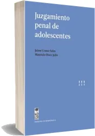 «Juzgamiento Penal de Adolescentes» Review + Descargar PDF completo | Mauricio Duce Julio 2023 Mega