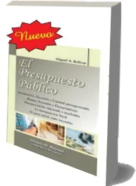 Descarga El Presupuesto Público ePub con resumen