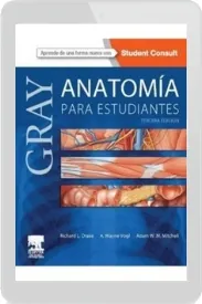 Descargar «Gray Anatomia para Estudiantes» (Richard l. Drake) en PDF 2022 + resumen
