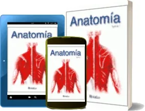 Google Books Anatomia Miniatlas de Luis Raúl Lépori completo en OEB, OPF, WORD, DOC, HTML, DOCX, EPUB, TXT, PDF Colección Medicina