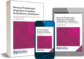 Descarga directa Normas Profesionales Argentinas Contables, de Auditoría y sindicatura PDF año MEGA