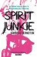 PDF Spirit Junkie del autor Gabrielle Bernstein
