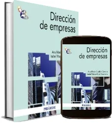 Leer PDF Dirección de Empresas gratis - Ediciones Pirámide Mega