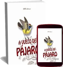 Drive A Vuelo de Pájaro eBook para descargar 22 páginas