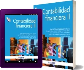 ePub gratis Contabilidad Financiera ii online + resumen
