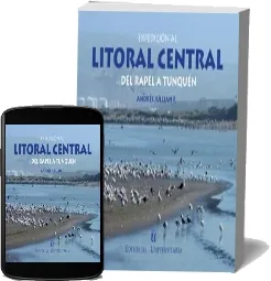 Google Books en PDF: Expedición al Litoral Central, Del Rapel a Tunquén del autor Andrés Jullian año 2023 | Kindle - iPad descargas ilimitadas