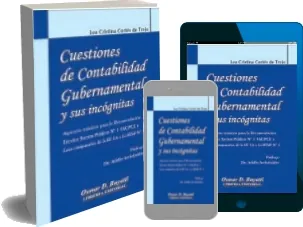 Cuestiones de Contabilidad Gubernamental Descarga PDF español
