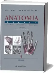 Descargar » Anatomia Humana. Tomo1,2,3 y 4 » Henri Rouvière » PDF + resumen