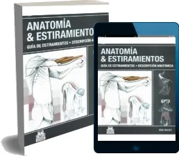 Anatomia y Estiramientos. Guia de Estiramientos. Descripcion Anatomica de Brad Walker completo en PRC, PDF, WORD, TXT, DOC, GIF, DOCX, EPUB, CSV, MOBI, ODT - Paidotribo bajar libro gratis 2023